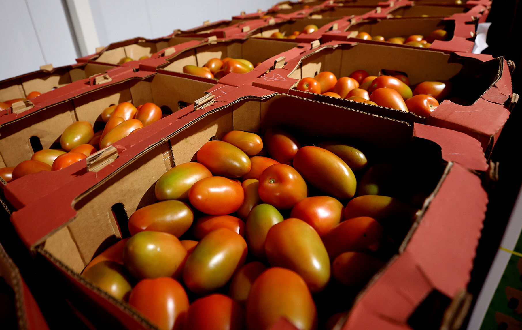 ÃÛèÖÖ±²¥ governor criticizes new tariff on Mexico-grown tomatoes